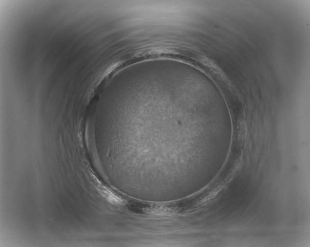 X0000067460785200604101132