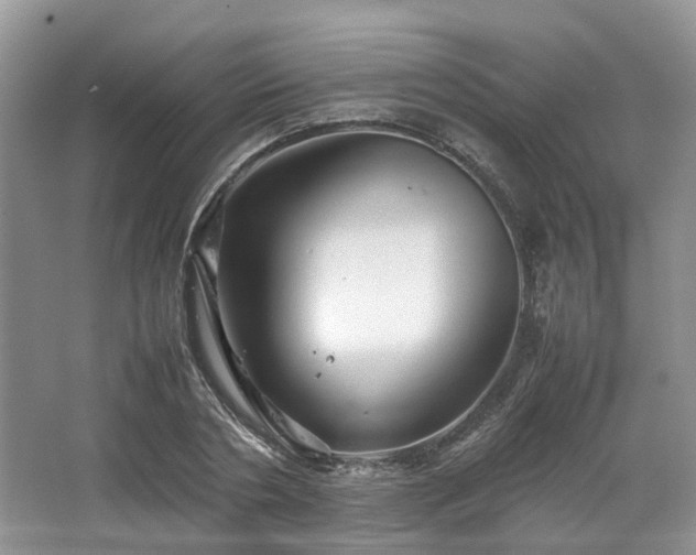 X0000067460786200604101132