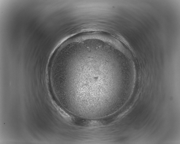 X0000067460787200604101132