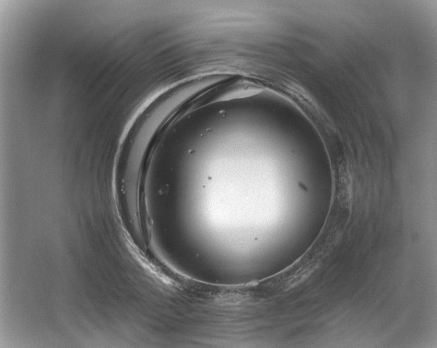 X0000067460788200604101132