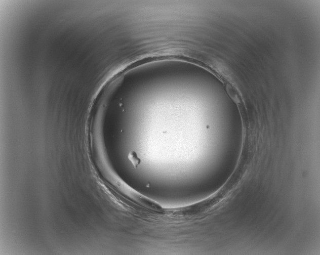 X0000067460789200604101132