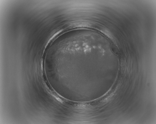 X0000067460790200604101132