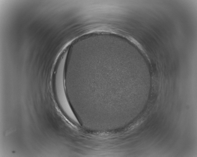 X0000067460791200604101132