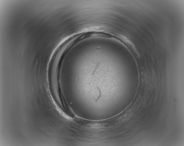 X0000067460792200604101132