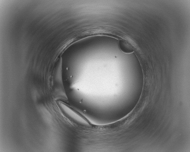 X0000067460793200604101131