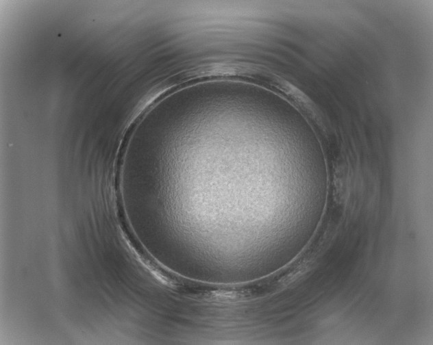 X0000067460794200604101131