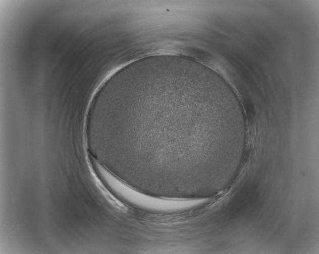 X0000067460795200604101131