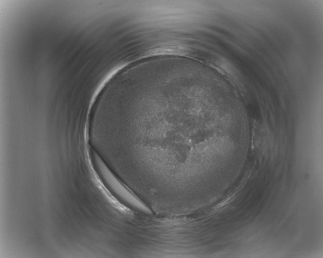 X0000067460796200604101131