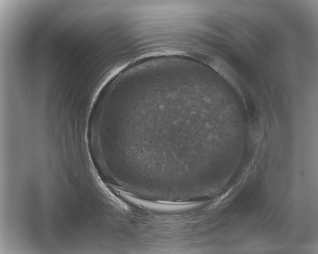 X0000067460797200604101131