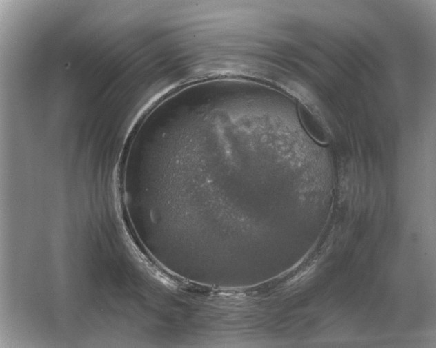 X0000067460798200604101131