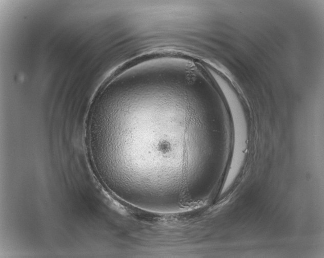 X0000067460799200604101131