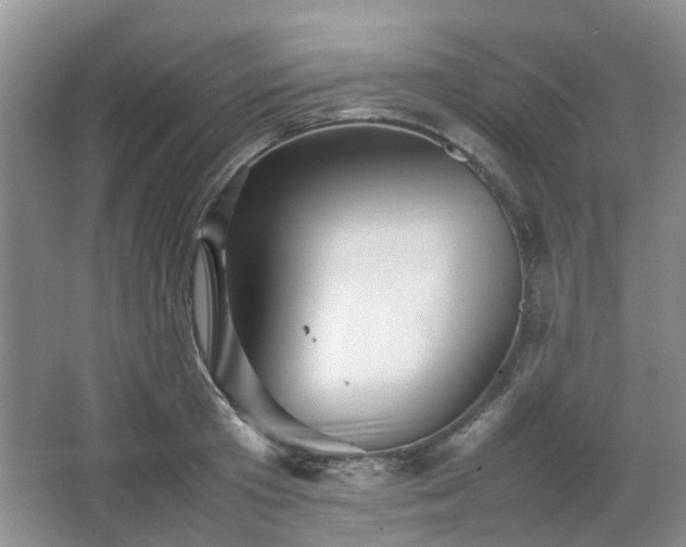 X0000067460801200604101131