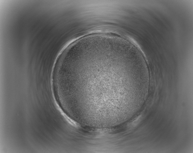 X0000067460803200604101131