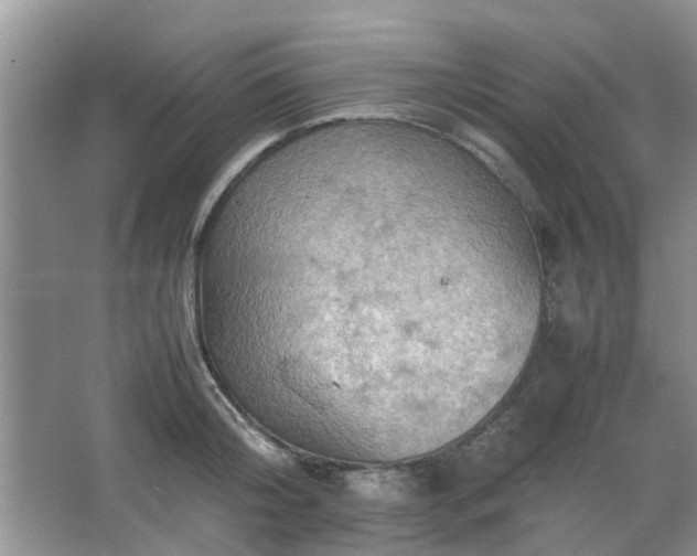 X0000067460804200604101131