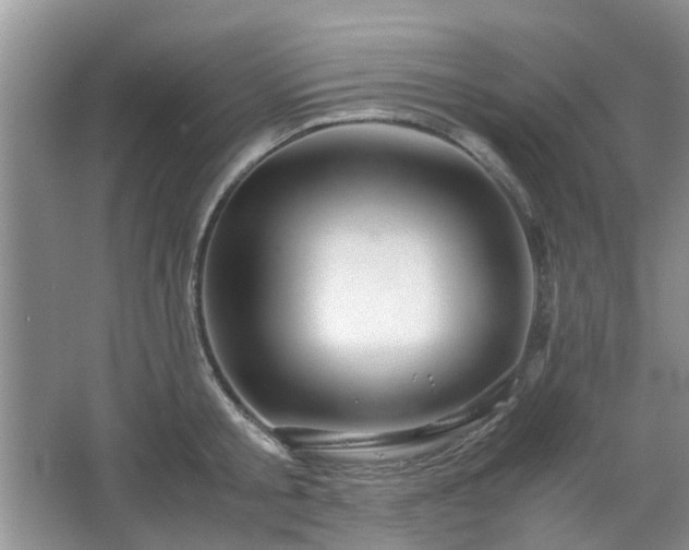 X0000067460805200604101131