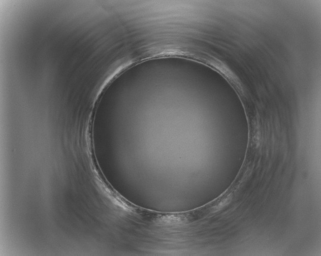 X0000067460806200604101131