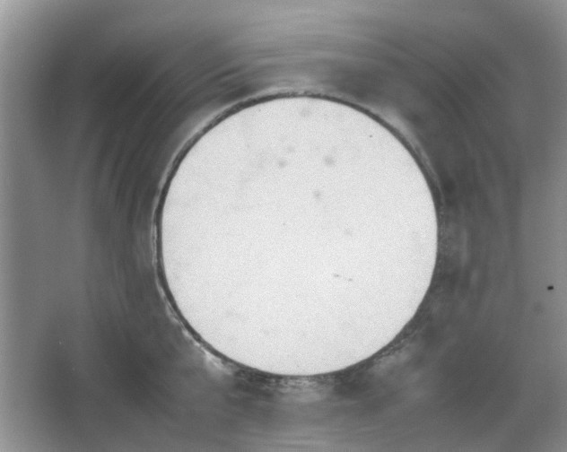 X0000067460807200604101131