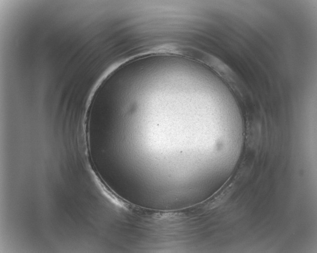 X0000067460808200604101131