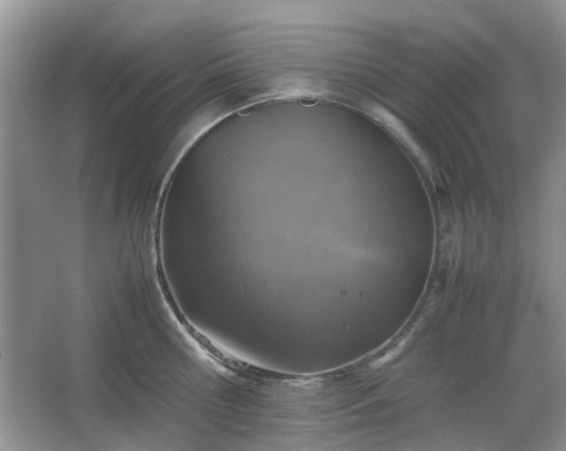 X0000067460810200604101131