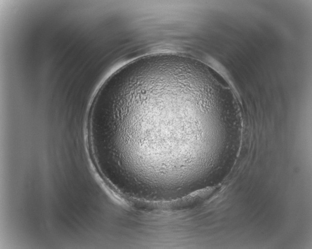 X0000067460811200604101131