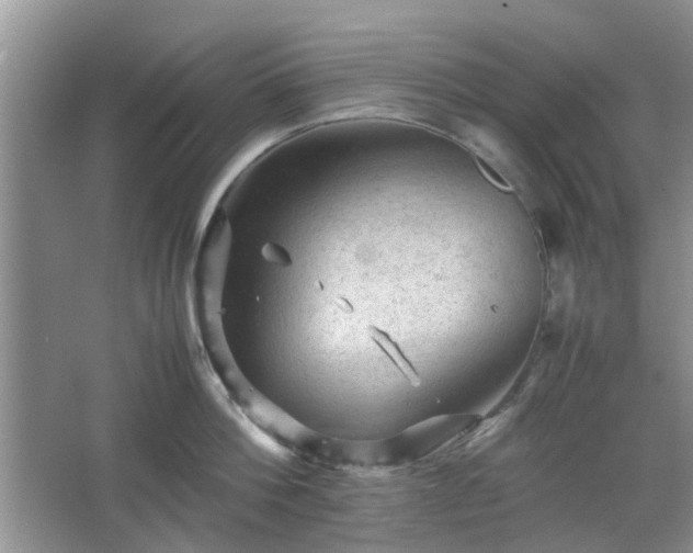 X0000067460812200604101131