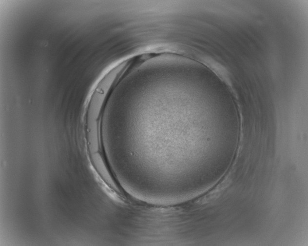 X0000067460816200604101131