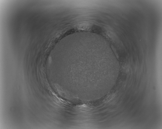 X0000067460817200604101130