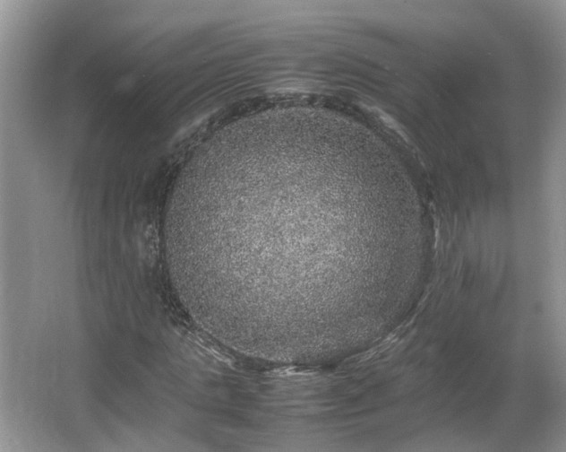 X0000067460821200604101130