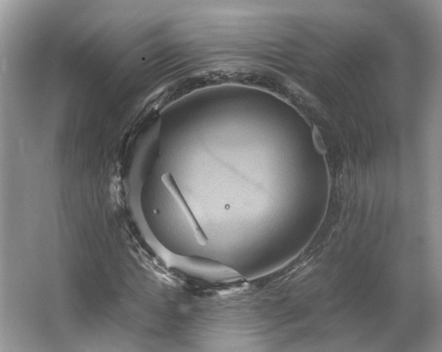 X0000067460822200604101130