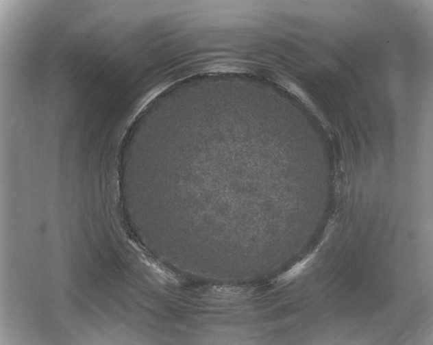 X0000067460829200604101130