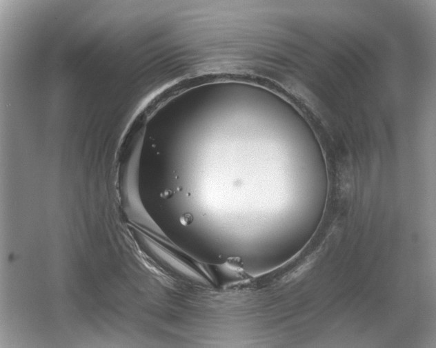 X0000067460830200604101131