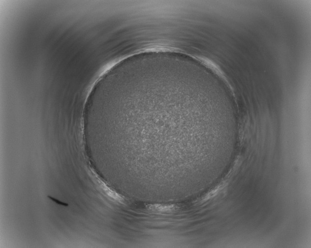 X0000067460831200604101131