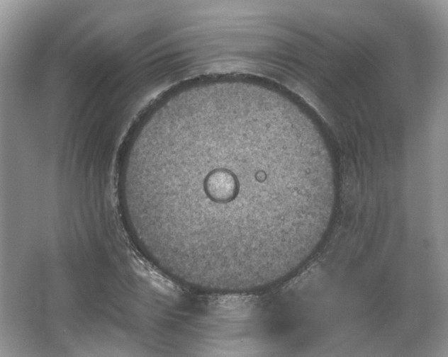 X0000067460832200604101131