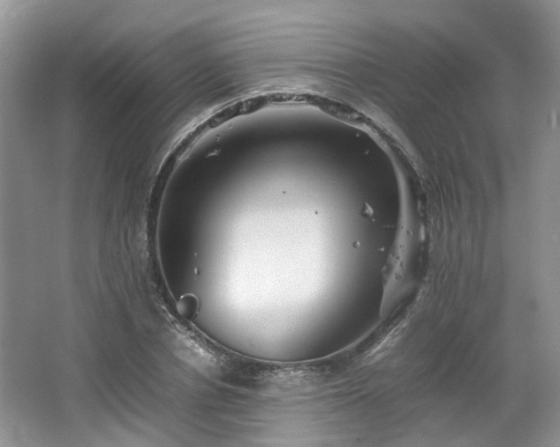 X0000067460834200604101131