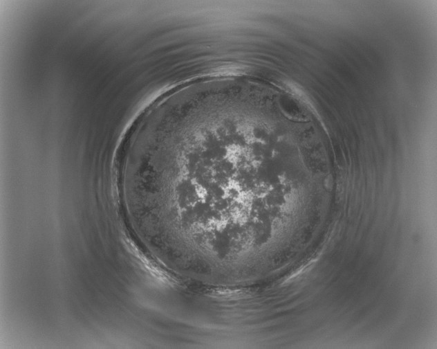 X0000067460835200604101131