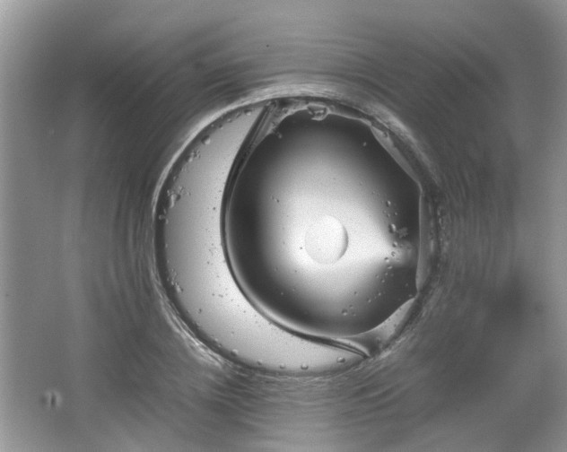 X0000067460836200604101131