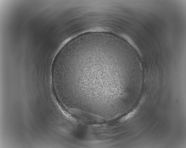 X0000067460837200604101131