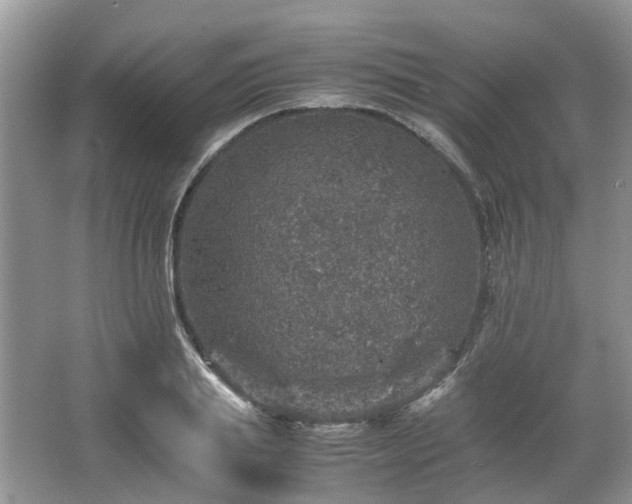 X0000067460839200604101131