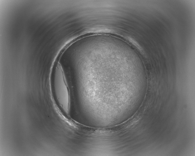 X0000067460840200604101131