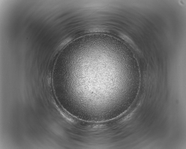 X0000067460841200604101131