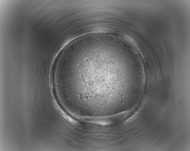 X0000067460843200604101131