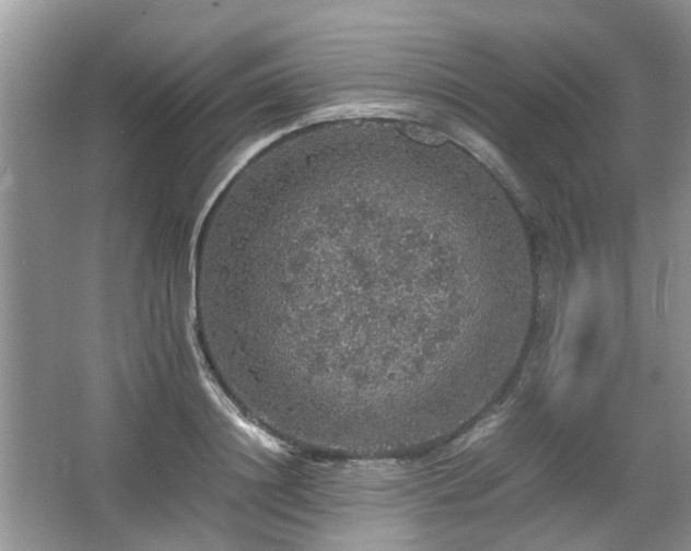 X0000067460844200604101131