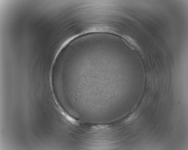 X0000067460846200604101131