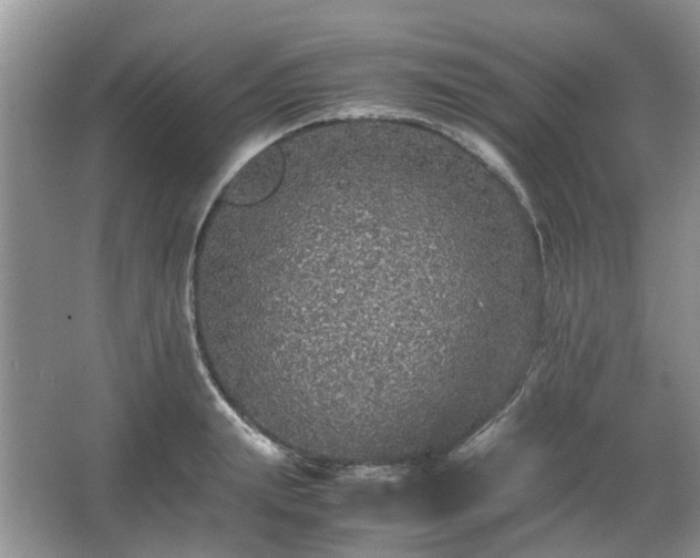 X0000067460847200604101131