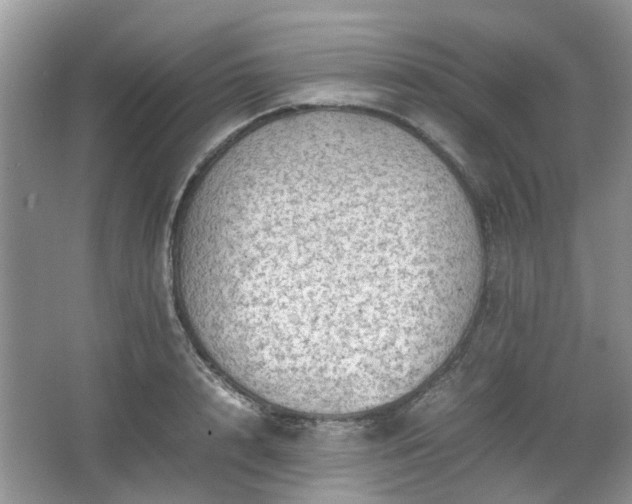 X0000067460848200604101131