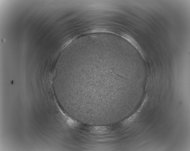 X0000067460849200604101131