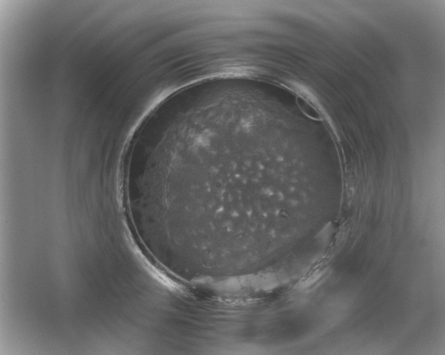 X0000067460851200604101131