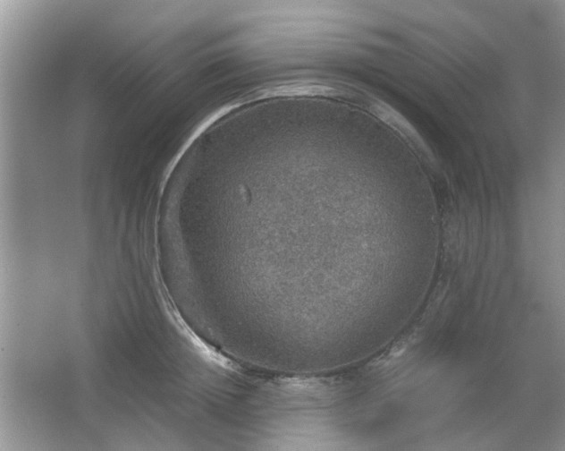 X0000067460852200604101131