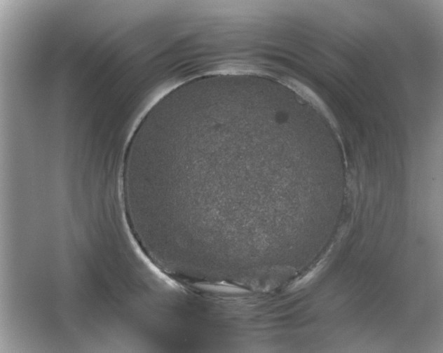 X0000067460855200604101131