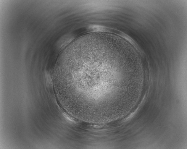 X0000067460857200604101131